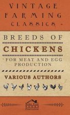 Breeds Of Chickens For Meat And Egg Production