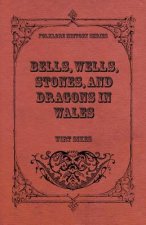 Bells, Wells, Stones, And Dragons In Wales (Folklore History Series)