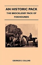 An Historic Pack - The Brocklesby Pack Of Foxhounds