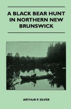 A Black Bear Hunt In Northern New Brunswick