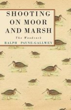Shooting On Moor And Marsh - The Woodcock