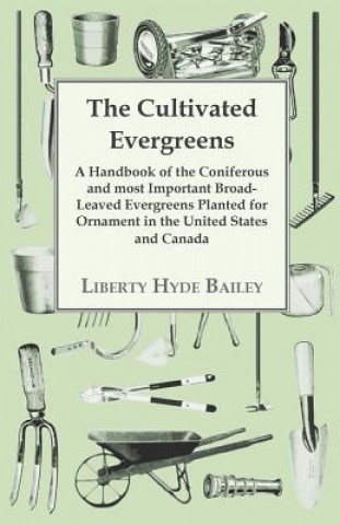 The Cultivated Evergreens - A Handbook of the Coniferous and most Important Broad-Leaved Evergreens Planted for Ornament in the United States and Cana
