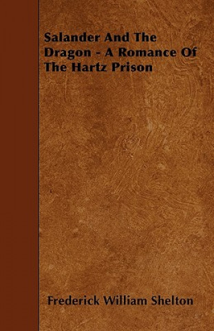 Salander And The Dragon - A Romance Of The Hartz Prison