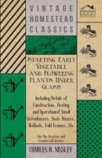 Starting Early Vegetable And Flowering Plants Under Glass - Including Details Of Construction, Heating And Operation Of Small Greenhouses, Sash-Houses