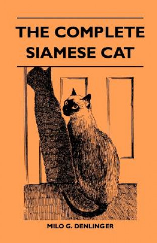 Complete Siamese Cat