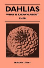 Dahlias - What Is Known About Them