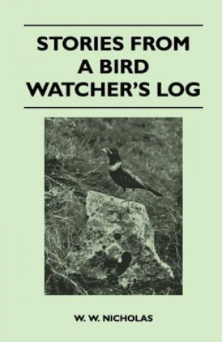 Stories From A Bird Watcher's Log