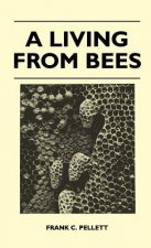 A Living From Bees