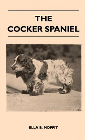 The Cocker Spaniel - Companion, Shooting Dog And Show Dog - Complete Information On History, Development, Characteristics, Standards For Field Trial A