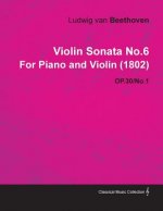 Violin Sonata No.6 by Ludwig Van Beethoven for Piano and Violin (1802) Op.30/No.1