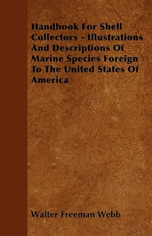 Handbook For Shell Collectors - Illustrations And Descriptions Of Marine Species Foreign To The United States Of America