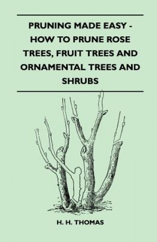 Pruning Made Easy - How To Prune Rose Trees, Fruit Trees And Ornamental Trees And Shrubs