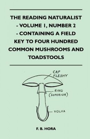 The Reading Naturalist - Volume 1, Number 2 - Containing A Field Key To Four Hundred Common Mushrooms And Toadstools