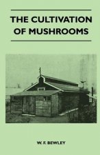 Cultivation Of Mushrooms