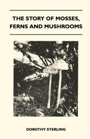 The Story Of Mosses, Ferns And Mushrooms