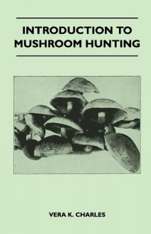 Introduction to Mushroom Hunting