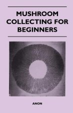 Mushroom Collecting for Beginners