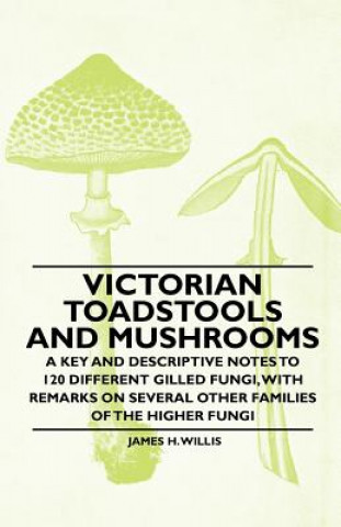 Victorian Toadstools and Mushrooms - A Key and Descriptive Notes to 120 Different Gilled Fungi, With Remarks on Several Other Families of the Higher F