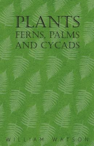 Plants - Ferns, Palms and Cycads