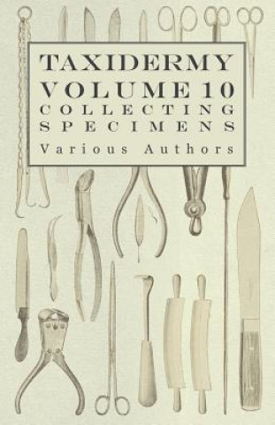 Taxidermy Vol.10 Collecting Specimens - The Collection and Displaying Taxidermy Specimens
