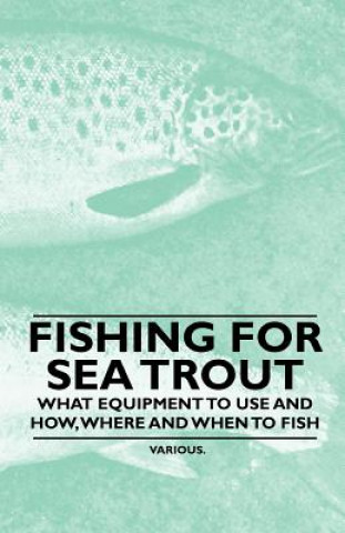 Fishing for Sea Trout - What Equipment to Use and How, Where and When to Fish