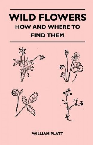 Wild Flowers - How and Where to Find Them