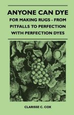 Anyone Can Dye - For Making Rugs - From Pitfalls to Perfection with Perfection Dyes