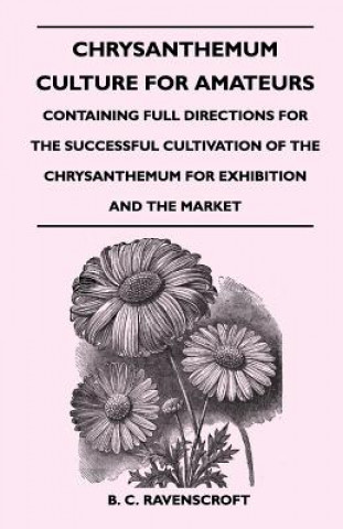 Chrysanthemum Culture for Amateurs