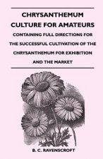 Chrysanthemum Culture for Amateurs