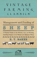 Management and Feeding of Sheep - A Practical Treatise on the Selection, Care, And Breeding, Including Chapters on the Diseases and Ailments of Sheep