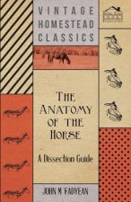 The Anatomy of the Horse - A Dissection Guide