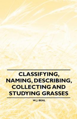 Classifying, Naming, Describing, Collecting and Studying Grasses