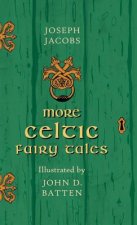 More Celtic Fairy Tales