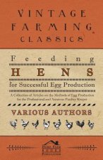 Feeding Hens for Successful Egg Production - A Collection of Articles on the Methods of Egg Production for the Professional and Amateur Poultry Keeper
