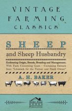 Sheep and Sheep Husbandry - Embracing Origin, Breeds, Breeding and Management; With Facts Concerning Goats - Containing Extracts from Livestock for th