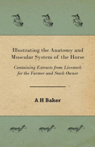 Illustrating the Anatomy and Muscular System of the Horse - Containing Extracts from Livestock for the Farmer and Stock Owner