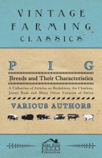 Pig Breeds and Their Characteristics - A Collection of Articles on Berkshires, the Cheshire, Jersey Reds and Many Other Varieties of Swine