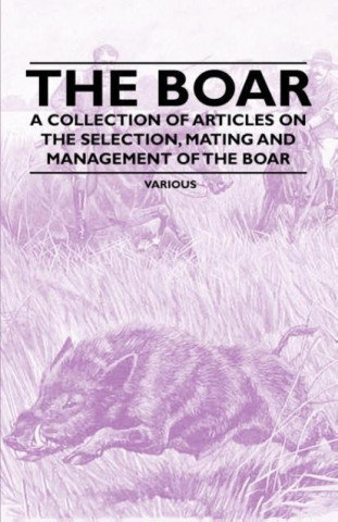 The Boar - A Collection of Articles on the Selection, Mating and Management of the Boar