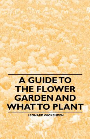 A Guide to the Flower Garden and What to Plant