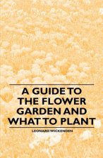 A Guide to the Flower Garden and What to Plant