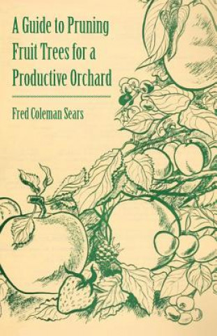 Guide to Pruning Fruit Trees for a Productive Orchard