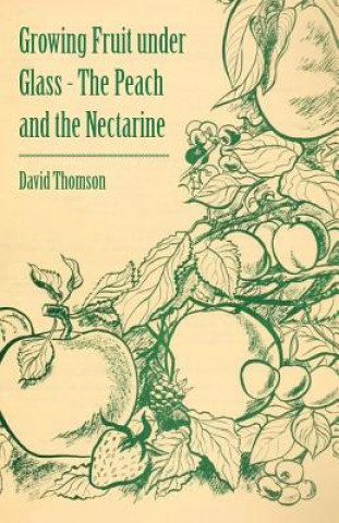 Growing Fruit Under Glass - The Peach and the Nectarine