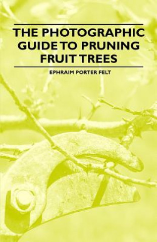 Photographic Guide to Pruning Fruit Trees