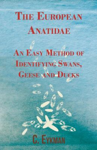 European Anatidae - An Easy Method of Identifying Swans, Geese and Ducks