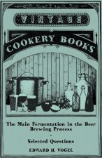 Main Fermentation in the Beer Brewing Process - Selected Questions