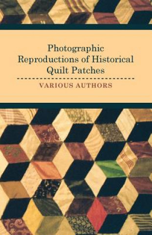 Photographic Reproductions of Historical Quilt Patches
