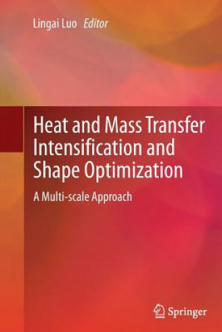 Heat and  Mass Transfer Intensification and Shape Optimization