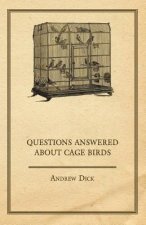 Questions Answered about Cage Birds