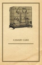 Canary Care