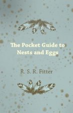 The Pocket Guide to Nests and Eggs